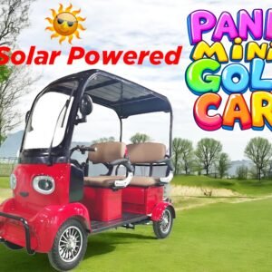 1000w Panda Electric Mini Golf Kart With Solar Panel