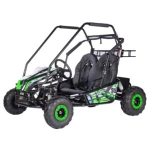 Tiger 2 Seat 2000W Electric Go Kart